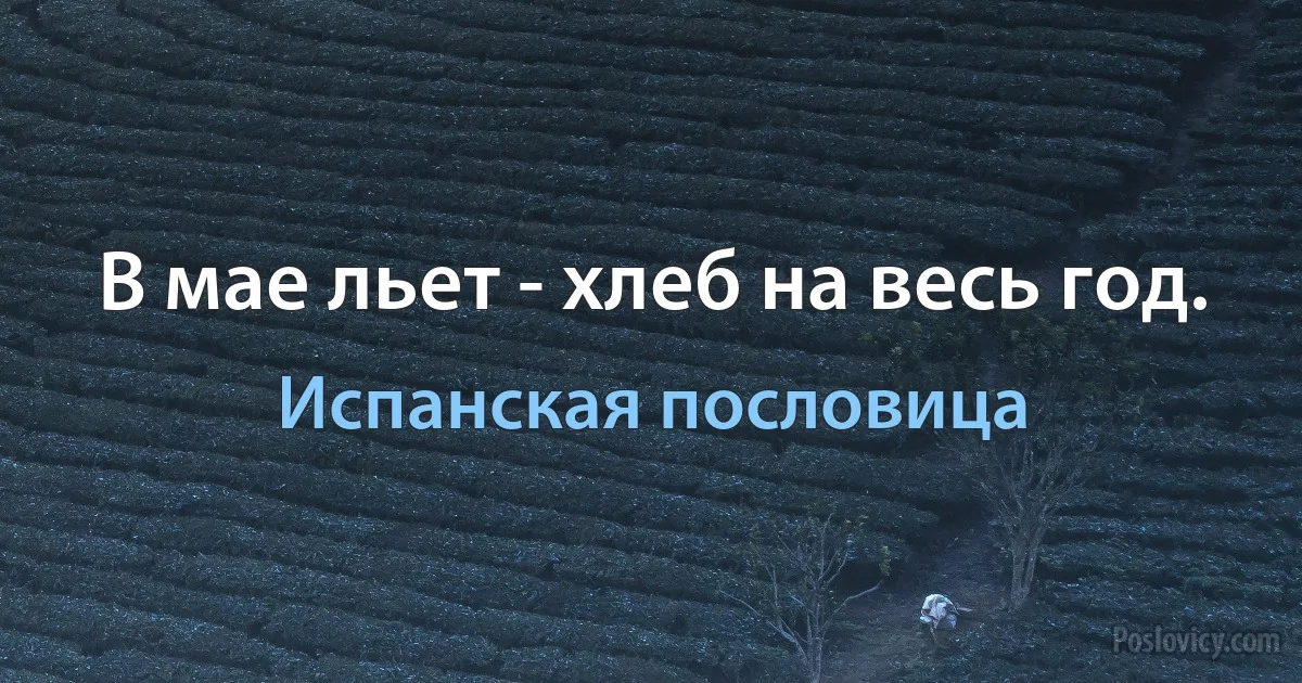 В мае льет - хлеб на весь год. (Испанская пословица)