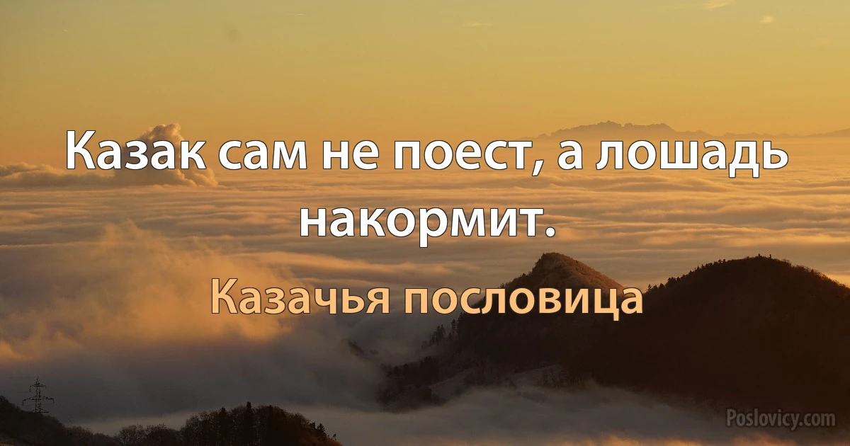 Казак сам не поест, а лошадь накормит. (Казачья пословица)