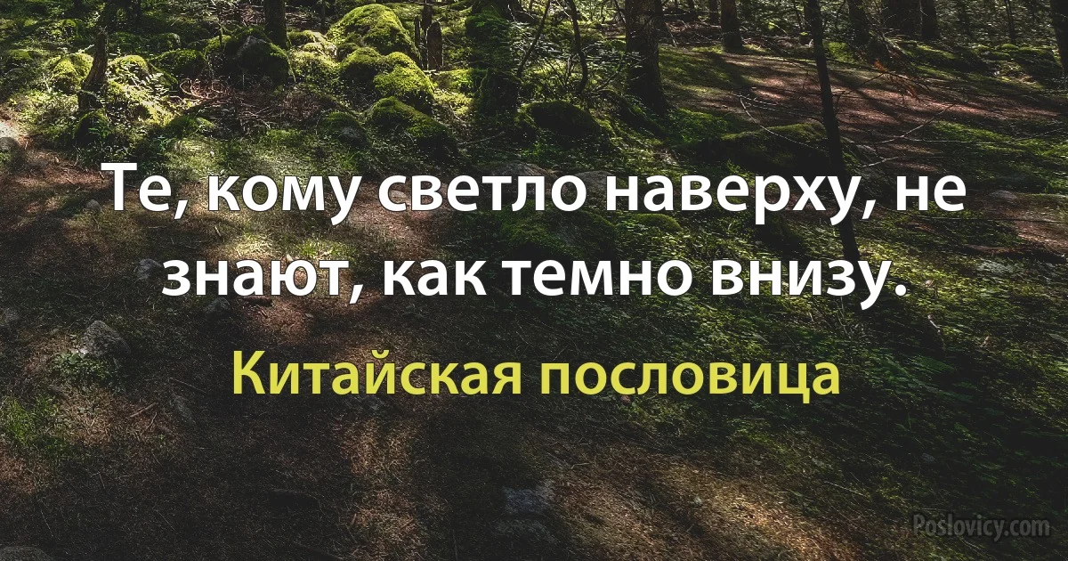 Те, кому светло наверху, не знают, как темно внизу. (Китайская пословица)