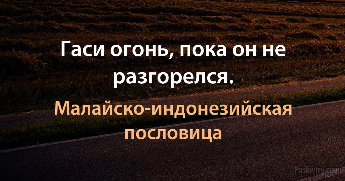 Гаси огонь, пока он не разгорелся. (Малайско-индонезийская пословица)