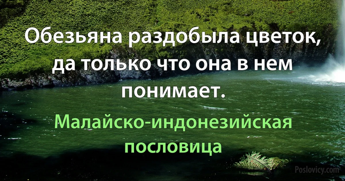 Обезьяна раздобыла цветок, да только что она в нем понимает. (Малайско-индонезийская пословица)