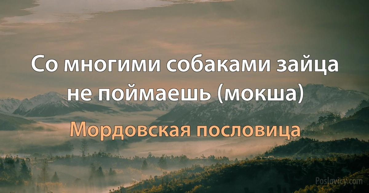 Со многими собаками зайца не поймаешь (мокша) (Мордовская пословица)