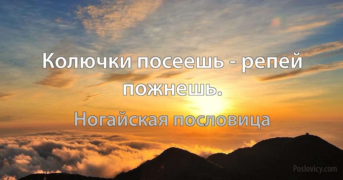 Колючки посеешь - репей пожнешь. (Ногайская пословица)