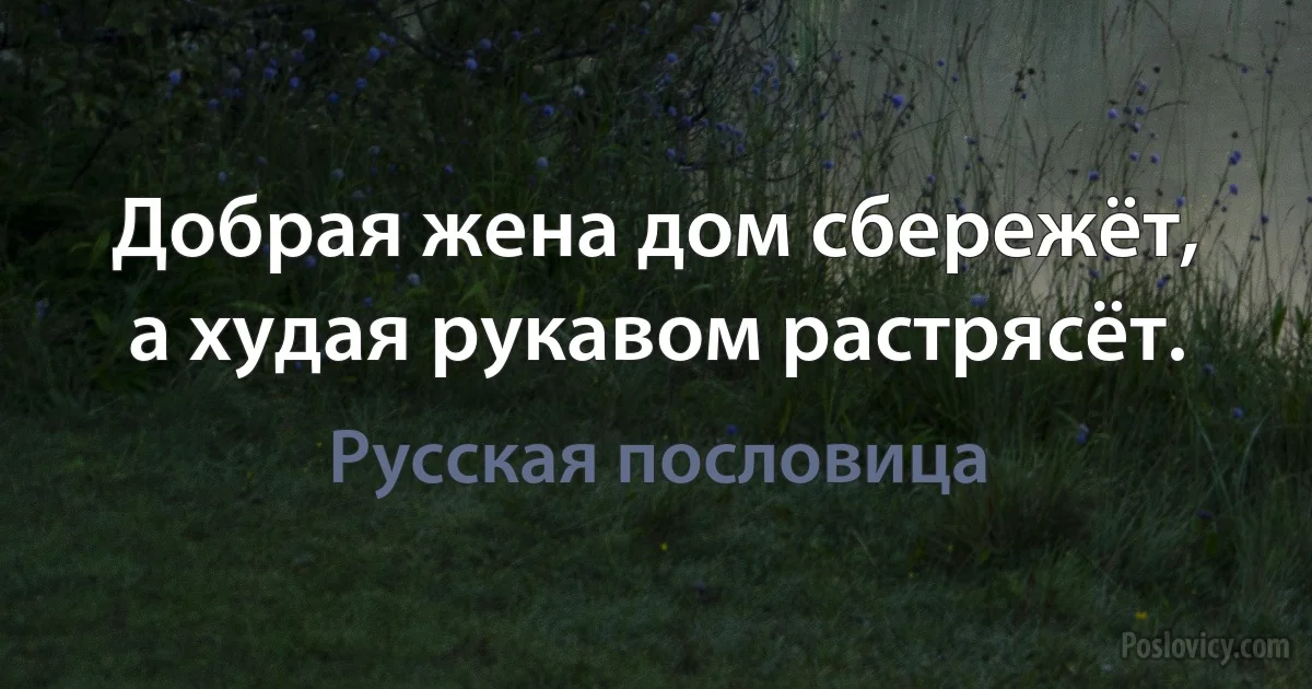 Добрая жена дом сбережёт, а худая рукавом растрясёт. (Русская пословица)