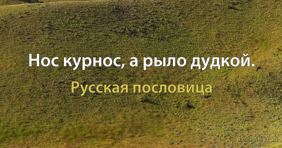 Нос курнос, а рыло дудкой. (Русская пословица)