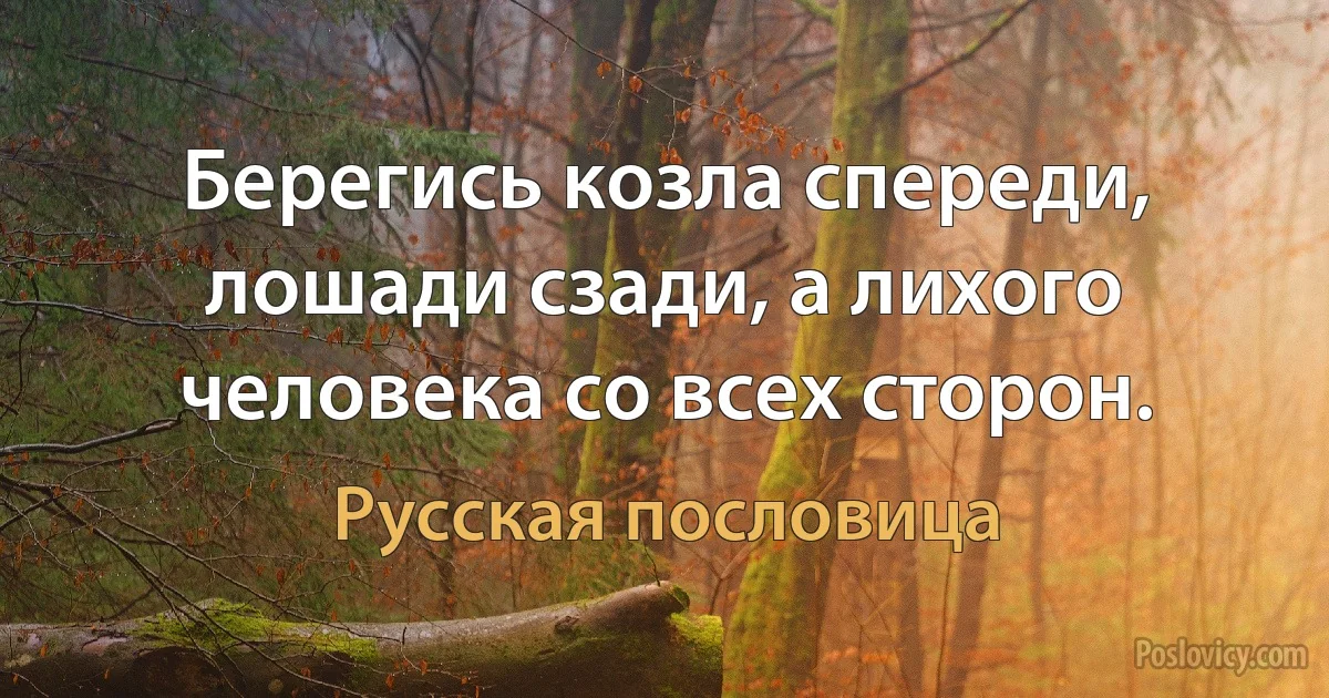 Берегись козла спереди, лошади сзади, а лихого человека со всех сторон. (Русская пословица)