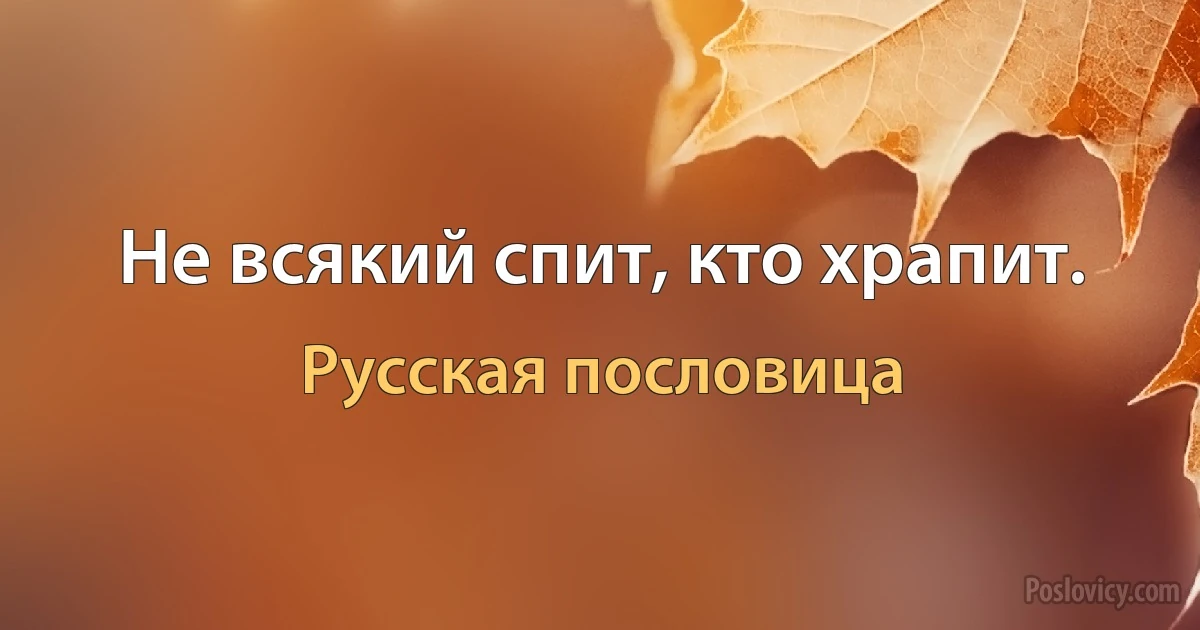 Не всякий спит, кто храпит. (Русская пословица)