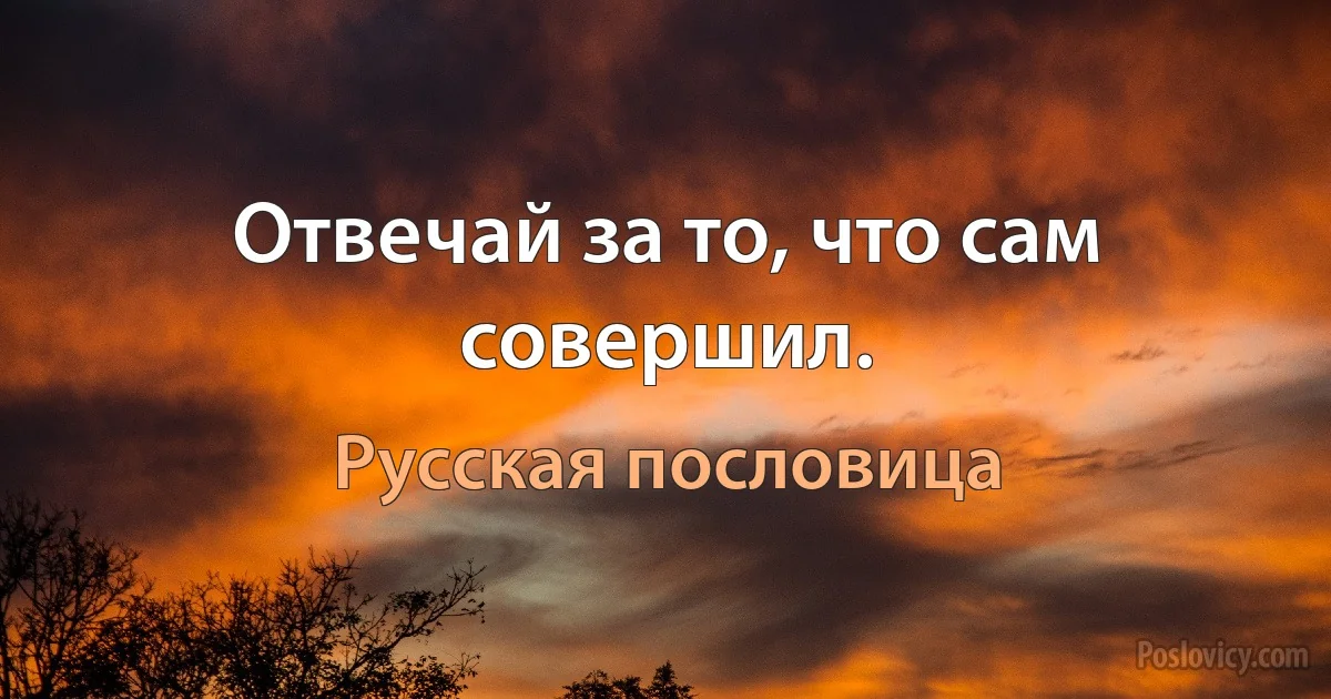 Отвечай за то, что сам совершил. (Русская пословица)