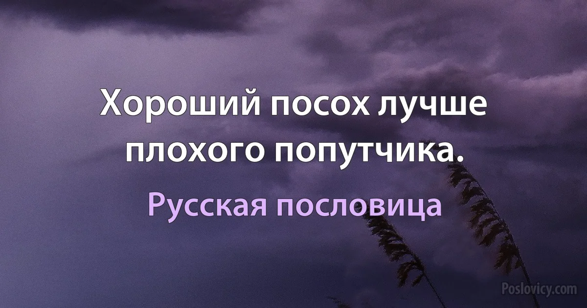 Хороший посох лучше плохого попутчика. (Русская пословица)