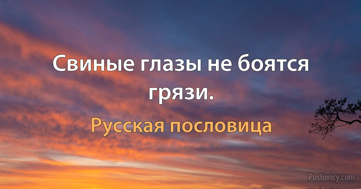 Свиные глазы не боятся грязи. (Русская пословица)