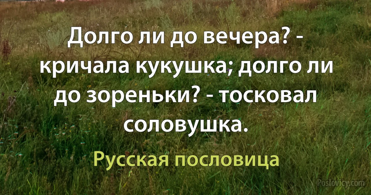 Долго ли до вечера? - кричала кукушка; долго ли до зореньки? - тосковал соловушка. (Русская пословица)