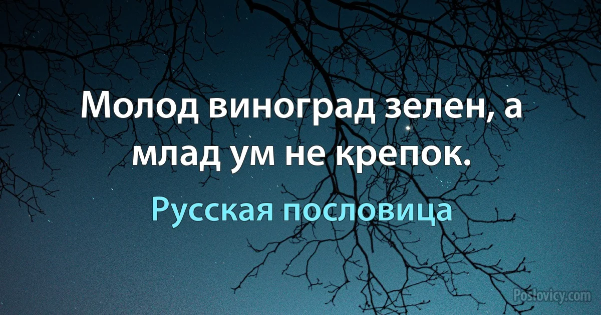 Молод виноград зелен, а млад ум не крепок. (Русская пословица)