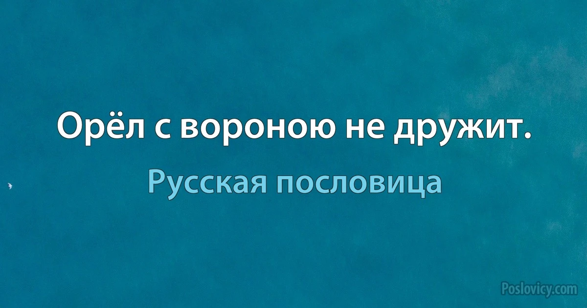 Орёл с вороною не дружит. (Русская пословица)