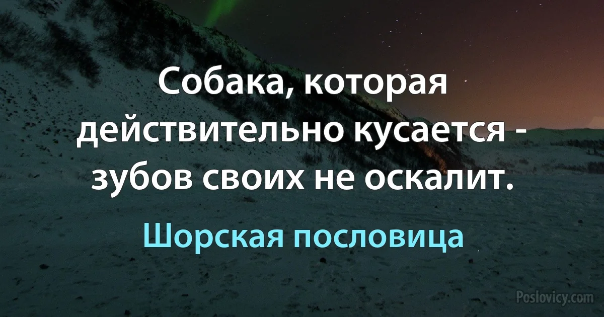 Собака, которая действительно кусается - зубов своих не оскалит. (Шорская пословица)