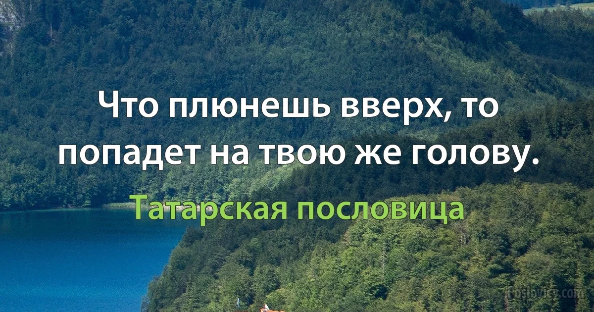 Что плюнешь вверх, то попадет на твою же голову. (Татарская пословица)