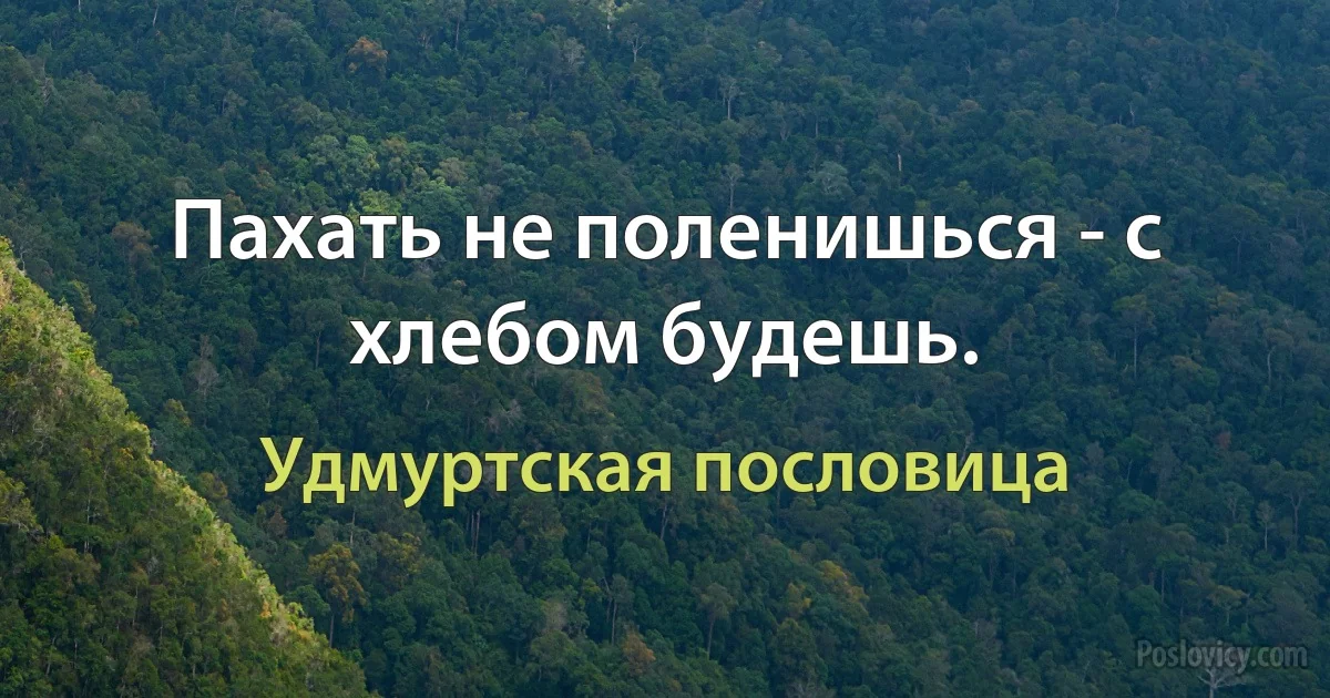 Пахать не поленишься - с хлебом будешь. (Удмуртская пословица)