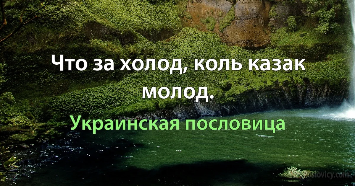 Что за холод, коль казак молод. (Украинская пословица)