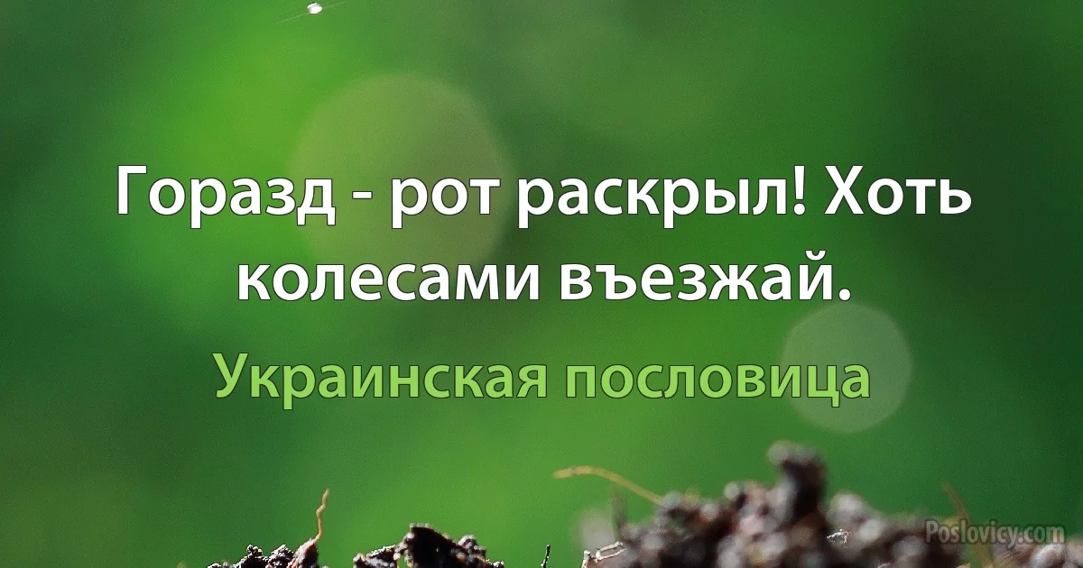 Горазд - рот раскрыл! Хоть колесами въезжай. (Украинская пословица)