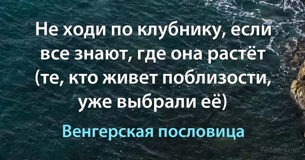 Не ходи по клубнику, если все знают, где она растёт (те, кто живет поблизости, уже выбрали её) (Венгерская пословица)