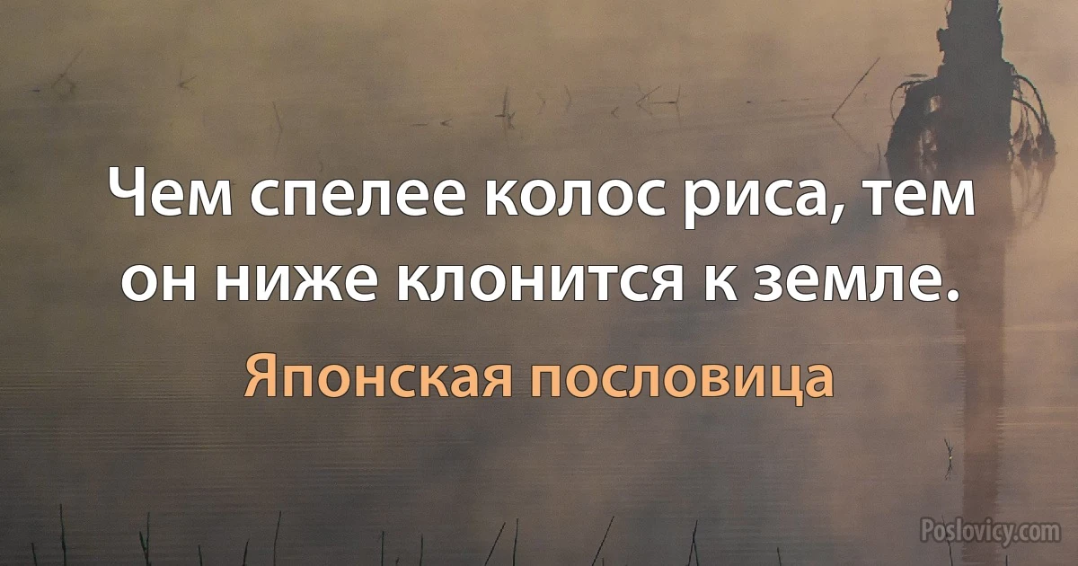 Чем спелее колос риса, тем он ниже клонится к земле. (Японская пословица)