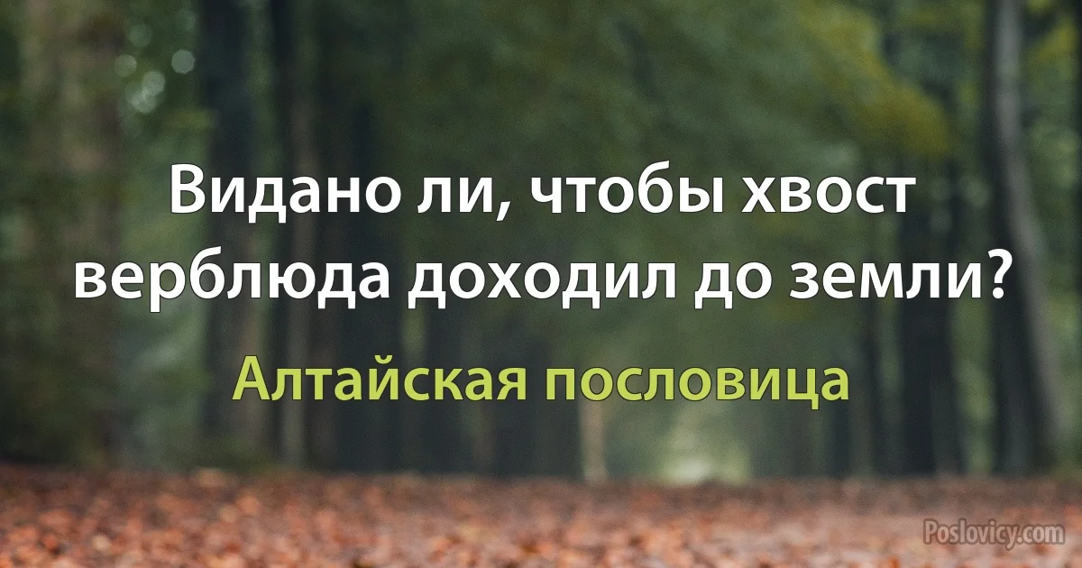 Видано ли, чтобы хвост верблюда доходил до земли? (Алтайская пословица)