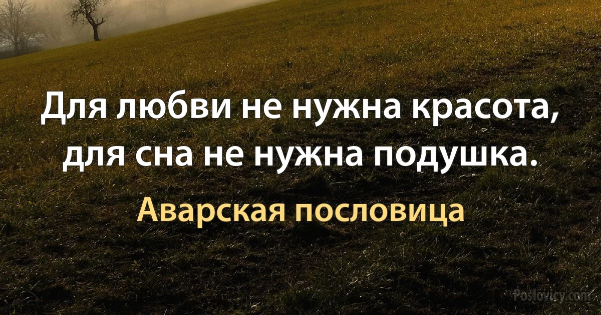 Для любви не нужна красота, для сна не нужна подушка. (Аварская пословица)