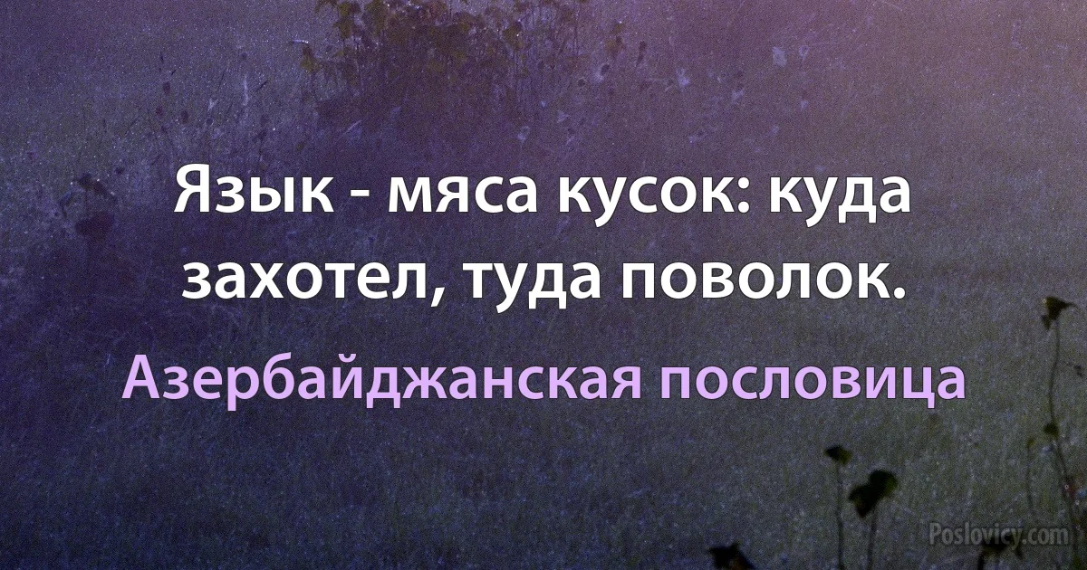 Язык - мяса кусок: куда захотел, туда поволок. (Азербайджанская пословица)