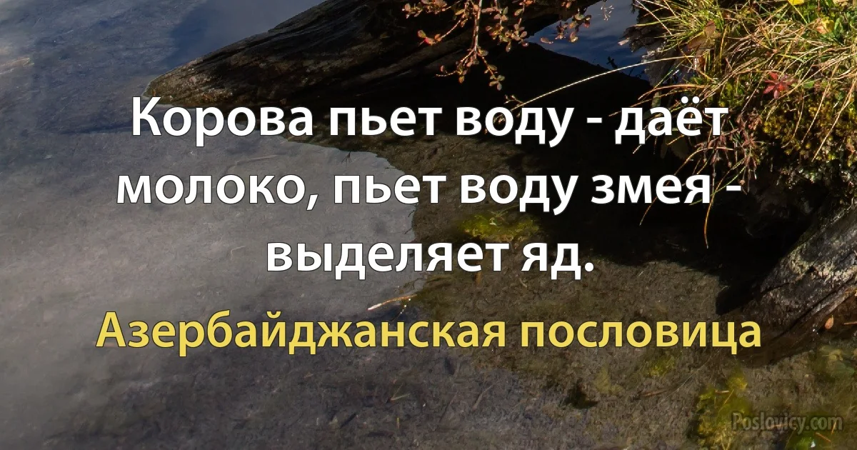 Корова пьет воду - даёт молоко, пьет воду змея - выделяет яд. (Азербайджанская пословица)