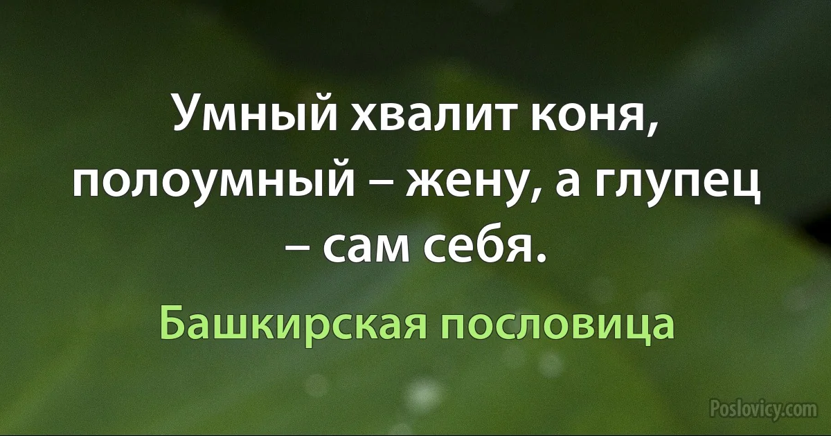 Умный хвалит коня, полоумный – жену, а глупец – сам себя. (Башкирская пословица)