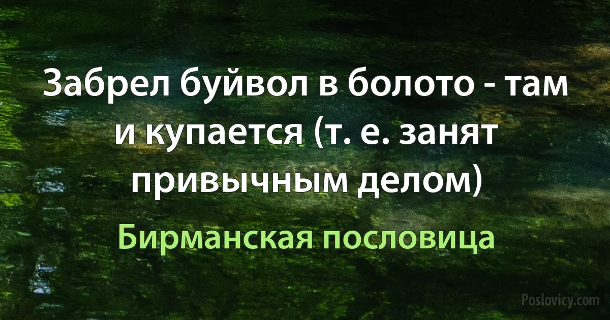 Забрел буйвол в болото - там и купается (т. е. занят привычным делом) (Бирманская пословица)