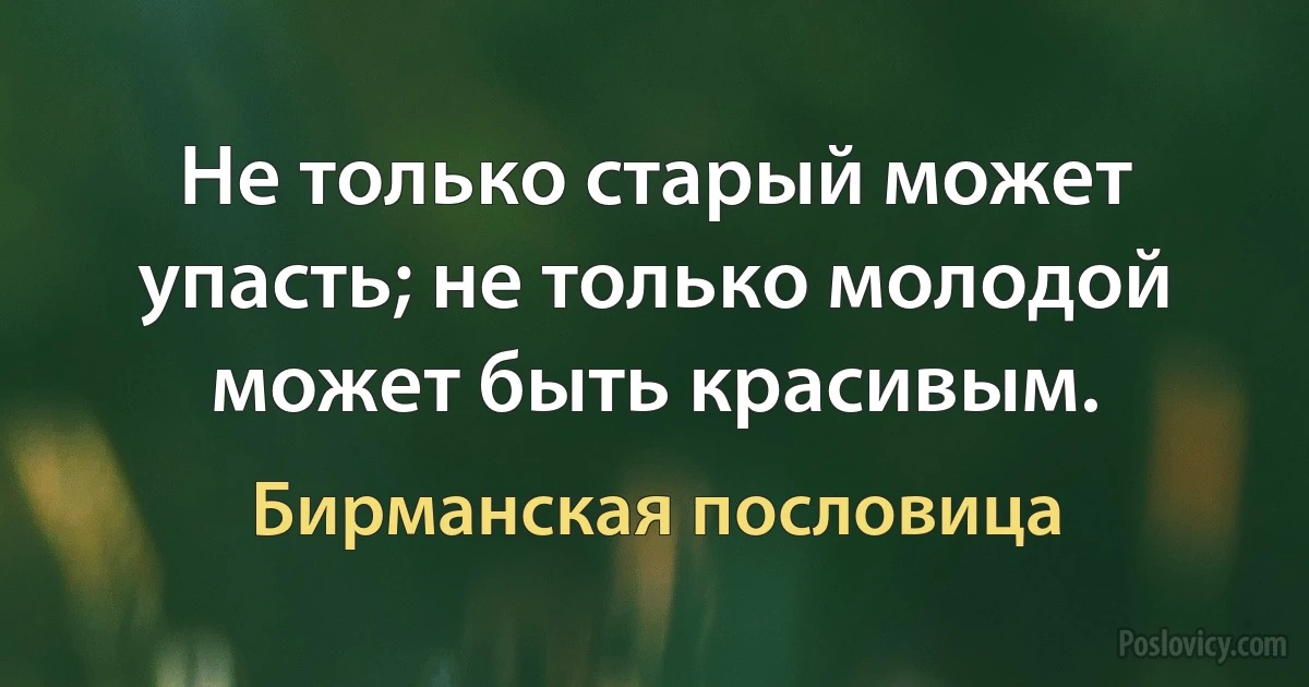 Не только старый может упасть; не только молодой может быть красивым. (Бирманская пословица)