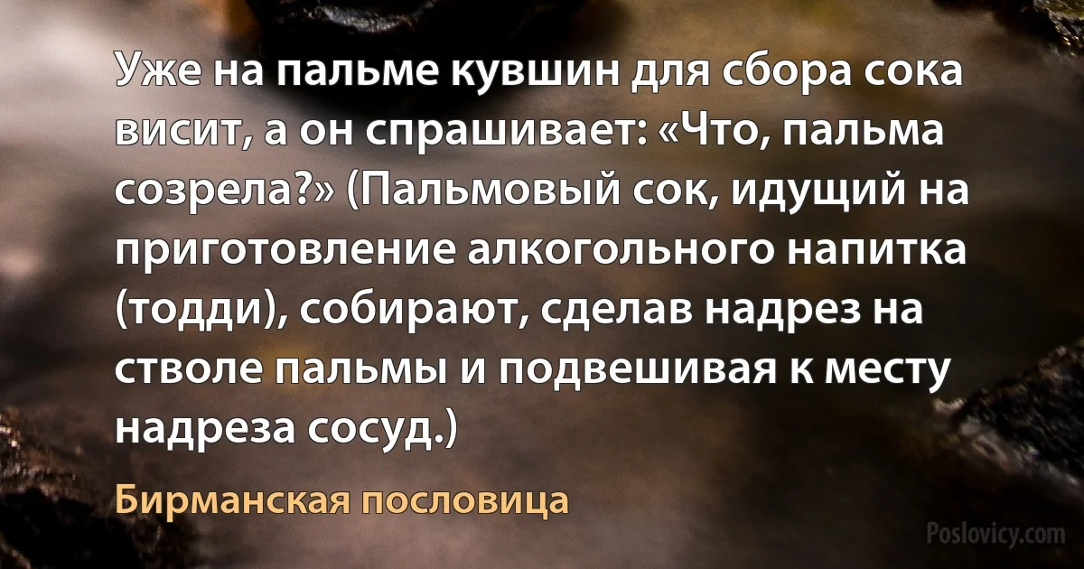 Уже на пальме кувшин для сбора сока висит, а он спрашивает: «Что, пальма созрела?» (Пальмовый сок, идущий на приготовление алкогольного напитка (тодди), собирают, сделав надрез на стволе пальмы и подвешивая к месту надреза сосуд.) (Бирманская пословица)