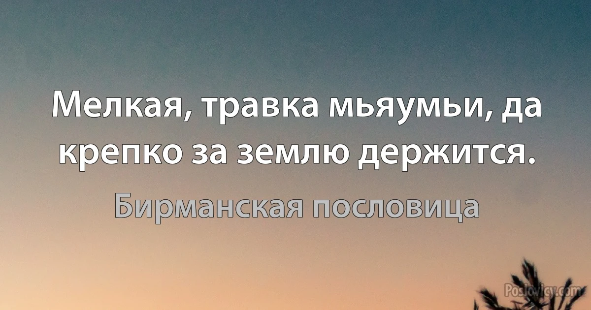 Мелкая, травка мьяумьи, да крепко за землю держится. (Бирманская пословица)