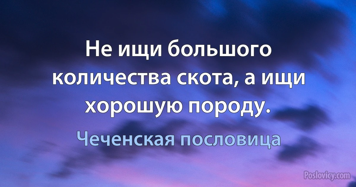 Не ищи большого количества скота, а ищи хорошую породу. (Чеченская пословица)