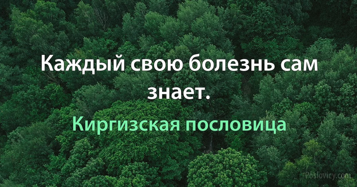 Каждый свою болезнь сам знает. (Киргизская пословица)