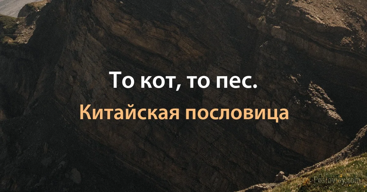 То кот, то пес. (Китайская пословица)