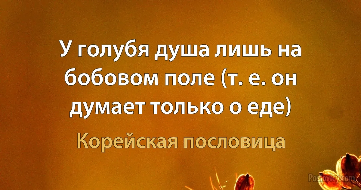 У голубя душа лишь на бобовом поле (т. е. он думает только о еде) (Корейская пословица)