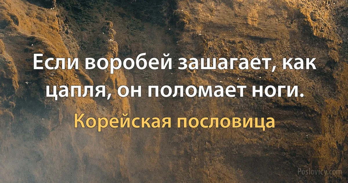 Если воробей зашагает, как цапля, он поломает ноги. (Корейская пословица)