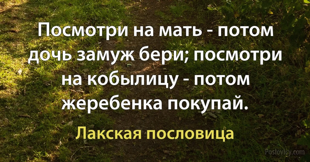 Посмотри на мать - потом дочь замуж бери; посмотри на кобылицу - потом жеребенка покупай. (Лакская пословица)