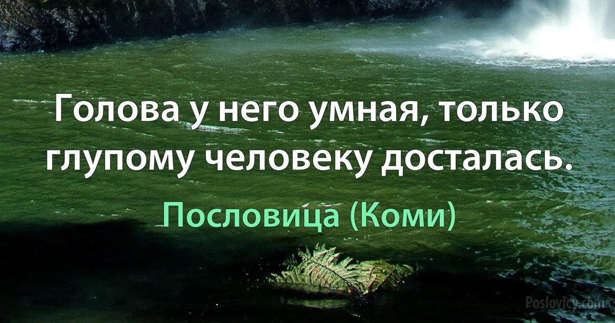 Голова у него умная, только глупому человеку досталась. (Пословица (Коми))