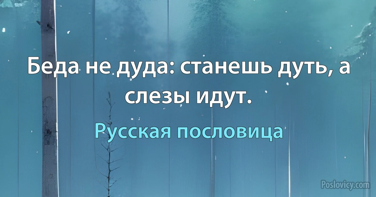 Беда не дуда: станешь дуть, а слезы идут. (Русская пословица)