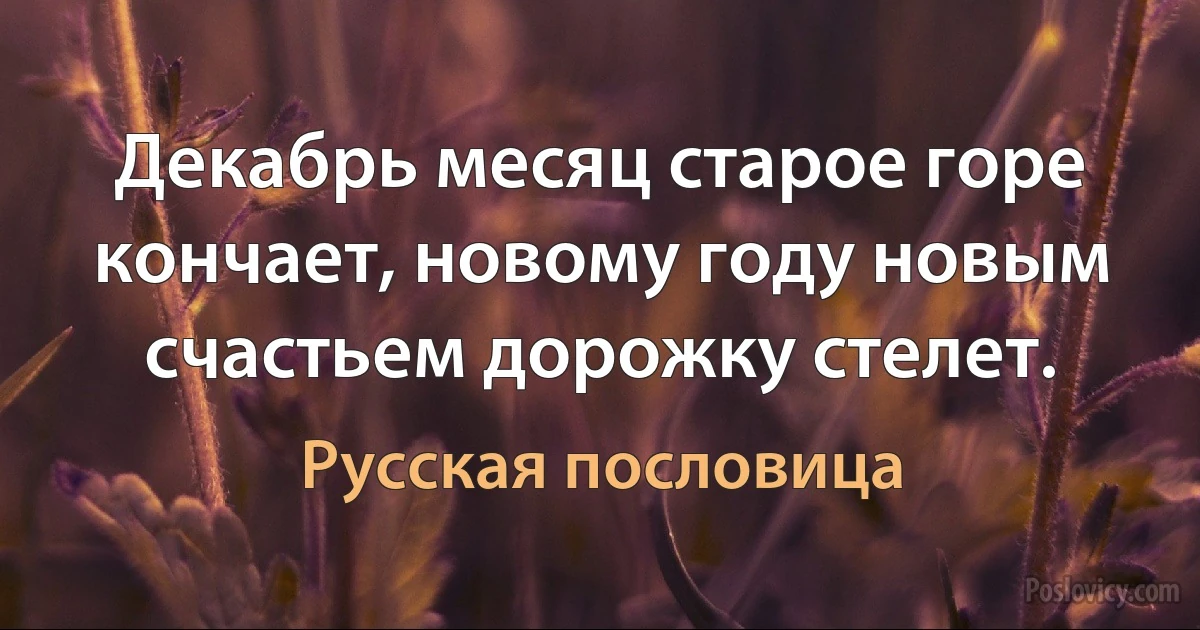 Декабрь месяц старое горе кончает, новому году новым счастьем дорожку стелет. (Русская пословица)