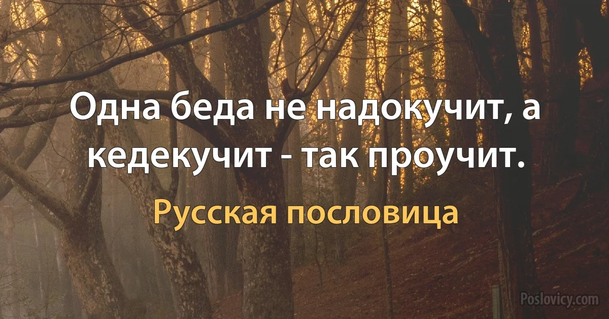 Одна беда не надокучит, а кедекучит - так проучит. (Русская пословица)