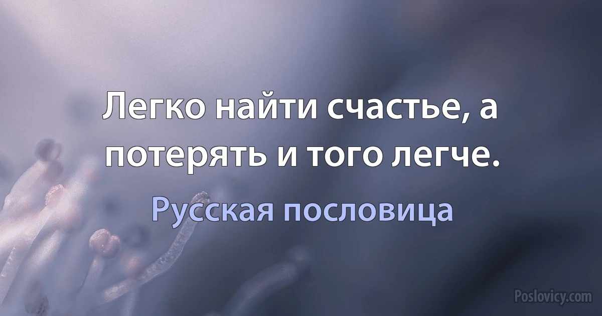 Легко найти счастье, а потерять и того легче. (Русская пословица)