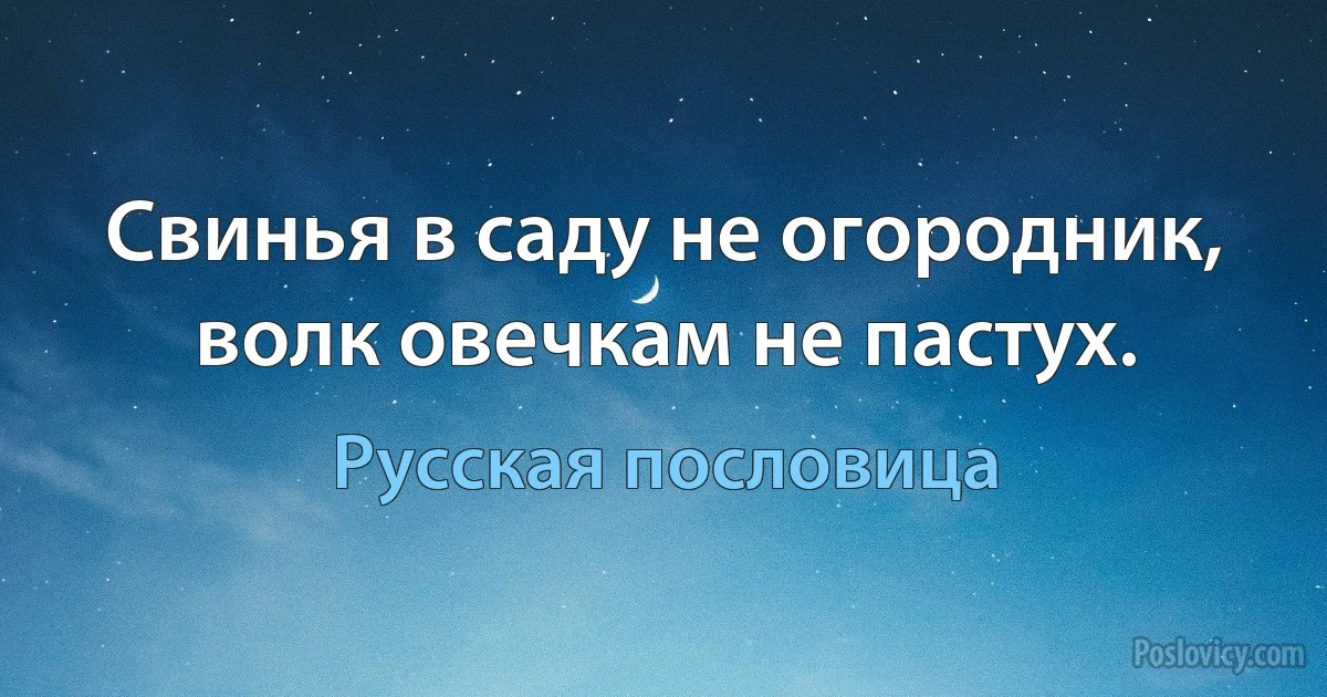 Свинья в саду не огородник, волк овечкам не пастух. (Русская пословица)