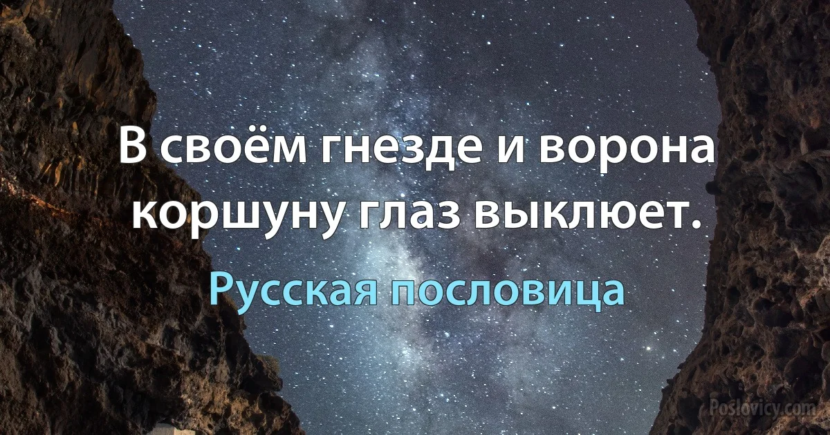 В своём гнезде и ворона коршуну глаз выклюет. (Русская пословица)