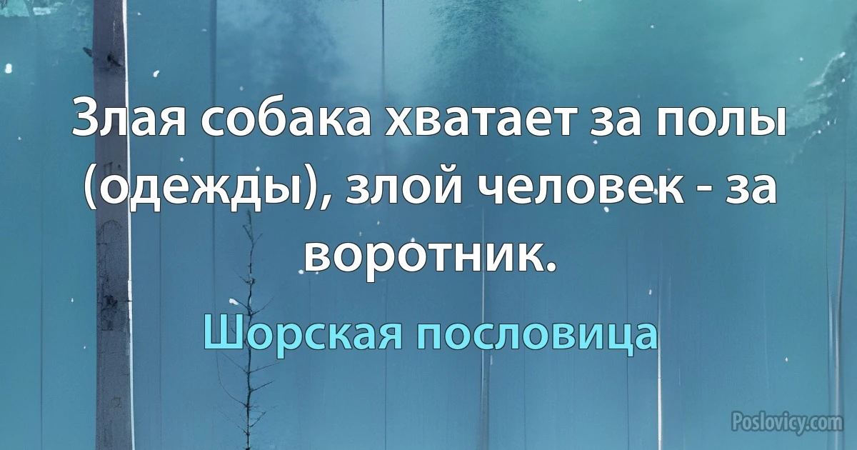 Злая собака хватает за полы (одежды), злой человек - за воротник. (Шорская пословица)