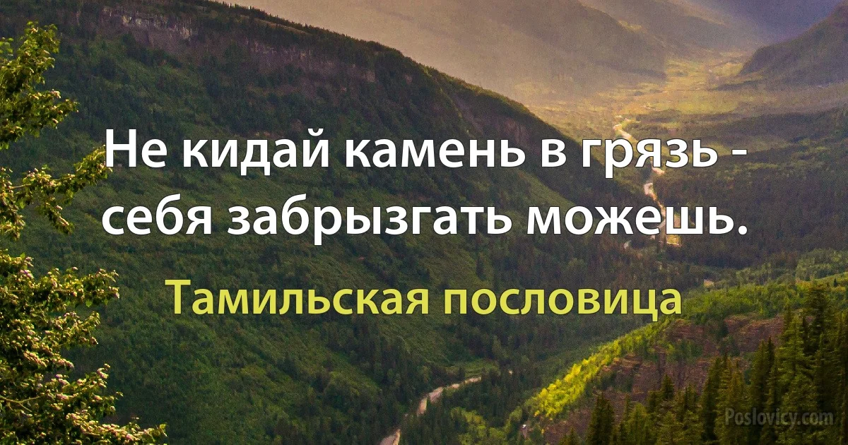 Не кидай камень в грязь - себя забрызгать можешь. (Тамильская пословица)