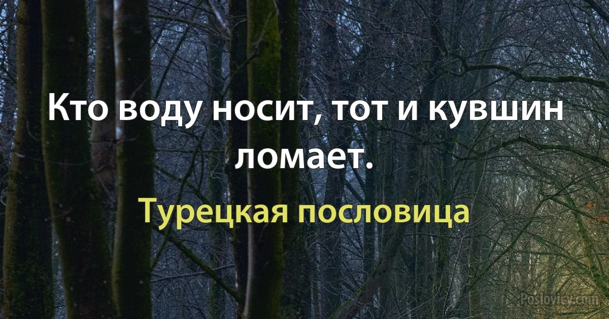 Кто воду носит, тот и кувшин ломает. (Турецкая пословица)