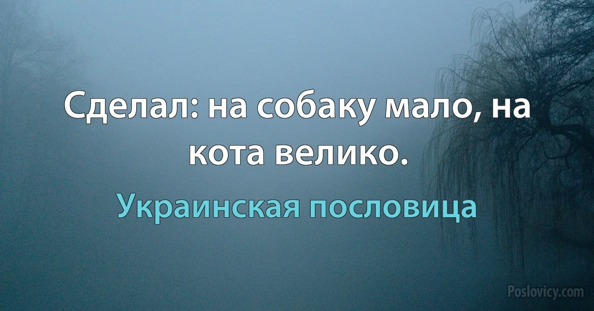 Сделал: на собаку мало, на кота велико. (Украинская пословица)